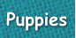 Puppies